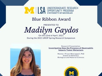 2021 UROP Spring Symposium Blue Ribbon IG 2 